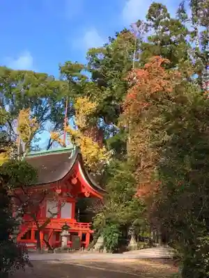 北野天満宮(京都府)