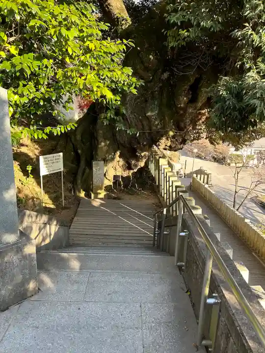 楽法寺(雨引観音)(茨城県)