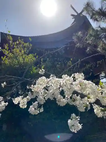 尾上神社の本殿・本堂