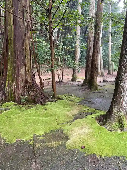 安仁神社の{uncategorized: "未分類", other: "その他", undefined: "問題あり", building: "その他建物", grave: "お墓", sacred_gate: "鳥居", guardian: "狛犬", statue: "像", buddha: "仏像", history: "歴史", nature: "自然", garden: "庭園", animal: "動物", pagoda: "塔", temizu: "手水舎", mountain_gate: "山門・神門", sanctuary: "本殿・本堂", subordinate: "末社・摂社", art: "芸術", scenery: "景色", jizo: "地蔵", ema: "絵馬", goshuin: "御朱印", omikuji: "おみくじ", items: "授与品その他", amulet: "お守り", goshuincho: "御朱印帳", eats: "食事", festival: "お祭り", votive_dance: "神楽", shichigosan: "七五三参", wedding: "結婚式", experience: "体験その他", initially: "初詣", around: "周辺", anti_infection: "感染症対策"}