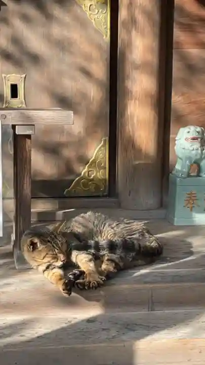 和泉國一之宮 大鳥大社の動物