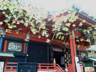 楽法寺(雨引観音)の本殿・本堂
