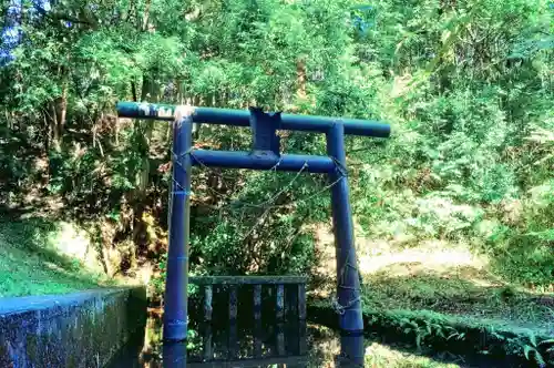 愛宕神社の鳥居