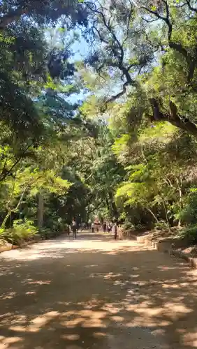 鹿島神宮の{uncategorized: "未分類", other: "その他", undefined: "問題あり", building: "その他建物", grave: "お墓", sacred_gate: "鳥居", guardian: "狛犬", statue: "像", buddha: "仏像", history: "歴史", nature: "自然", garden: "庭園", animal: "動物", pagoda: "塔", temizu: "手水舎", mountain_gate: "山門・神門", sanctuary: "本殿・本堂", subordinate: "末社・摂社", art: "芸術", scenery: "景色", jizo: "地蔵", ema: "絵馬", goshuin: "御朱印", omikuji: "おみくじ", items: "授与品その他", amulet: "お守り", goshuincho: "御朱印帳", eats: "食事", festival: "お祭り", votive_dance: "神楽", shichigosan: "七五三参", wedding: "結婚式", experience: "体験その他", initially: "初詣", around: "周辺", anti_infection: "感染症対策"}