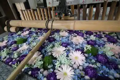 高円寺氷川神社の手水舎