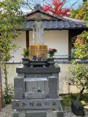 智福院(京都府)