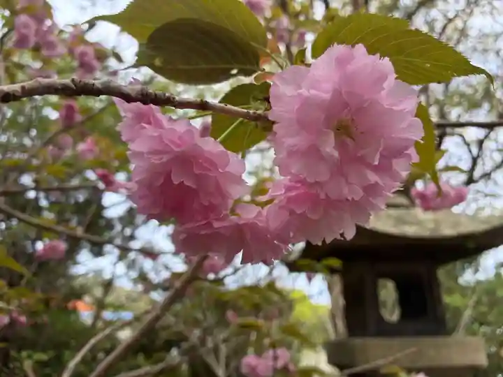 人丸神社(徳島県)