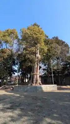 大林村「八幡神社」(滋賀県)