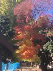 福住厳島神社の自然