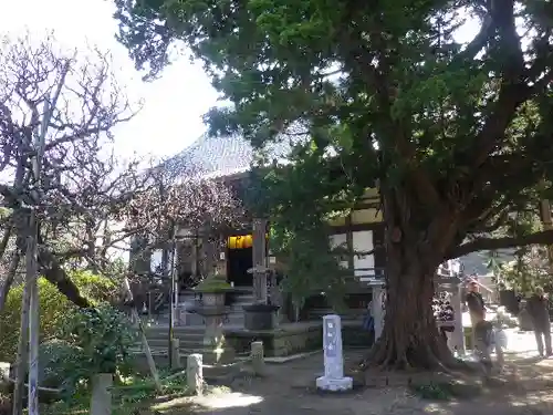 宝戒寺のその他建物