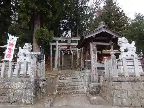 子松神社の狛犬