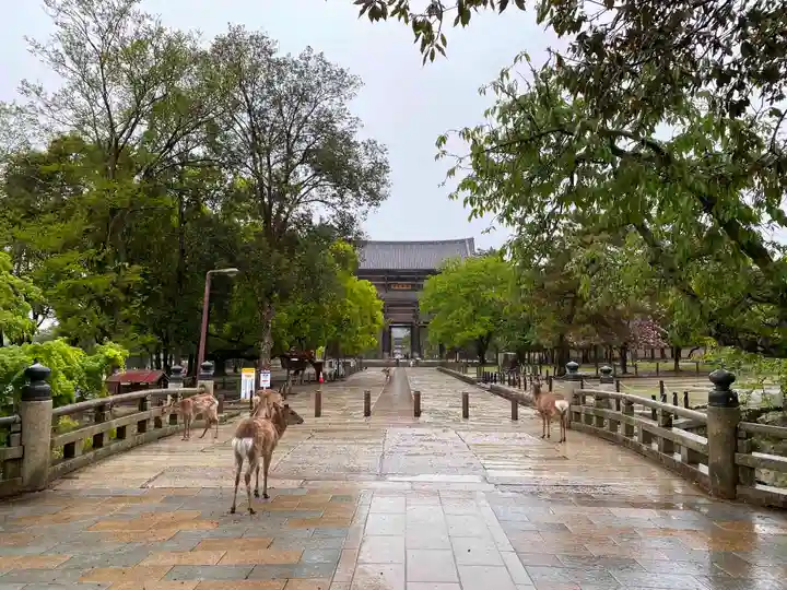 東大寺のその他建物