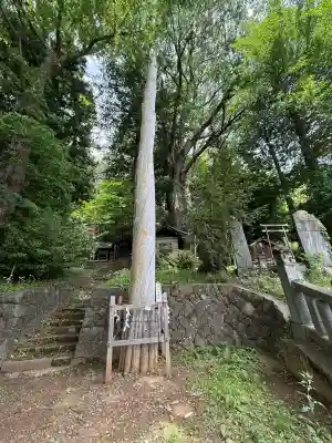 手長神社(長野県)