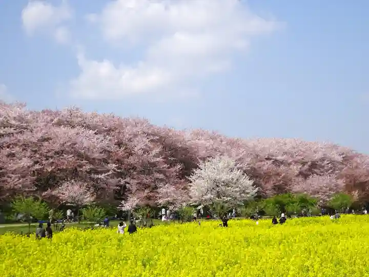 上高野神社(埼玉県)