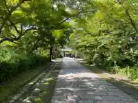 神光院(京都府)