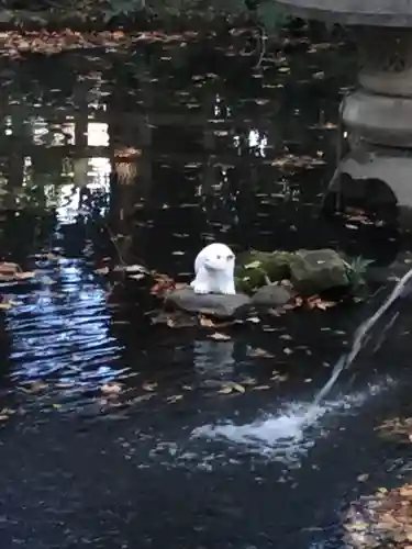 調神社の狛犬