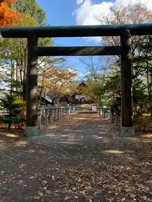 信濃神社の鳥居