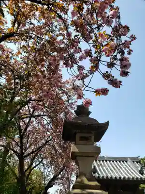 荘厳寺(東京都)