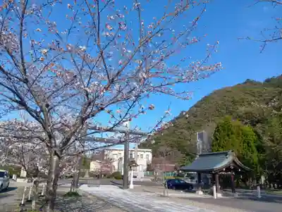 岐阜護國神社(岐阜県)