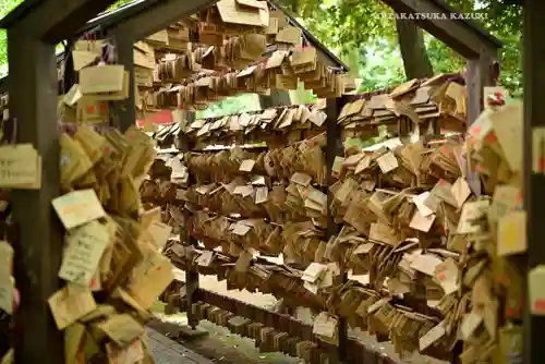川越氷川神社(埼玉県)