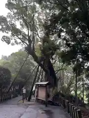 都萬神社(宮崎県)