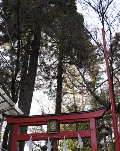 渋川八幡宮(群馬県)