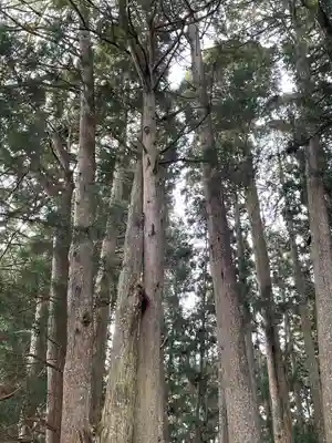 清高稲荷社の自然