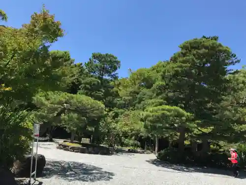 高徳院の庭園