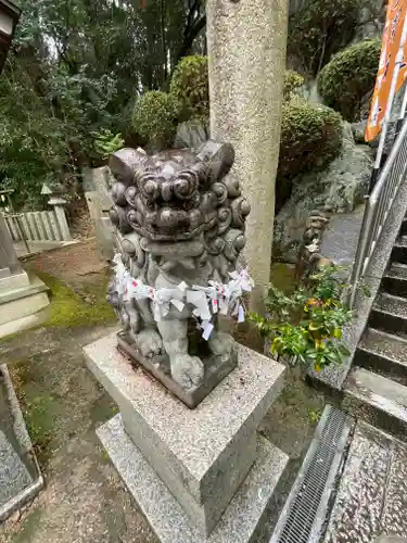 美多彌神社の狛犬