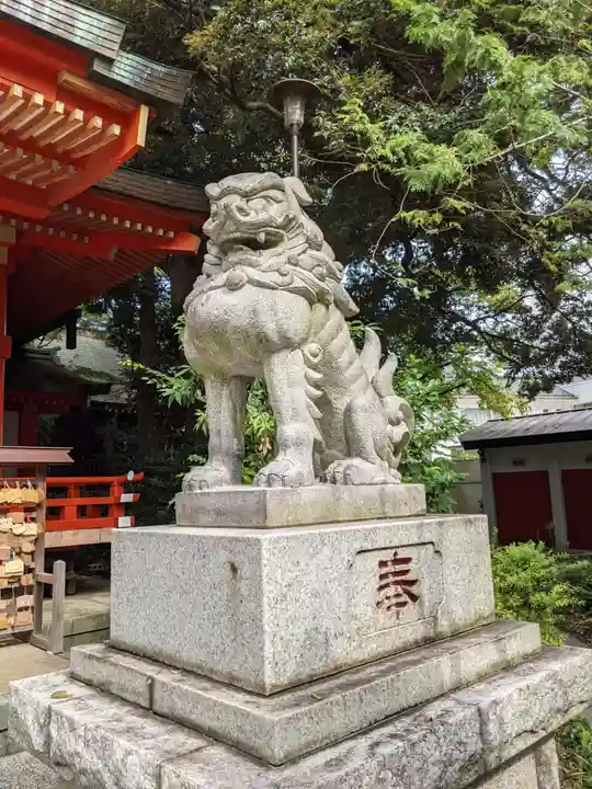 自由が丘熊野神社の狛犬