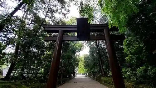 石上神宮の鳥居