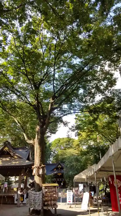 子安神社のその他建物