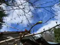 滑川神社 - 仕事と子どもの守り神の自然