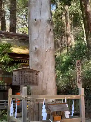 諏訪大社下社春宮のその他建物