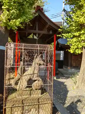 大戸神社の狛犬