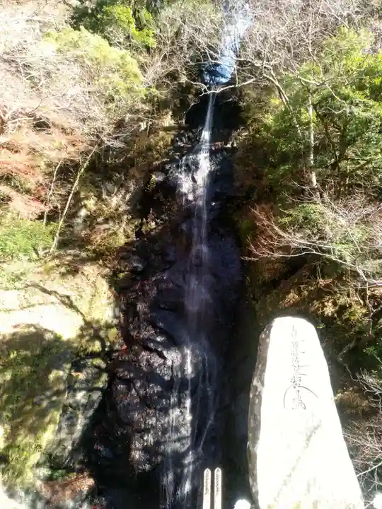 日教教会の自然