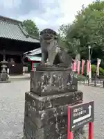 妻沼聖天山歓喜院の狛犬
