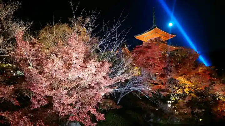 清水寺の{uncategorized: "未分類", other: "その他", undefined: "問題あり", building: "その他建物", grave: "お墓", sacred_gate: "鳥居", guardian: "狛犬", statue: "像", buddha: "仏像", history: "歴史", nature: "自然", garden: "庭園", animal: "動物", pagoda: "塔", temizu: "手水舎", mountain_gate: "山門・神門", sanctuary: "本殿・本堂", subordinate: "末社・摂社", art: "芸術", scenery: "景色", jizo: "地蔵", ema: "絵馬", goshuin: "御朱印", omikuji: "おみくじ", items: "授与品その他", amulet: "お守り", goshuincho: "御朱印帳", eats: "食事", festival: "お祭り", votive_dance: "神楽", shichigosan: "七五三参", wedding: "結婚式", experience: "体験その他", initially: "初詣", around: "周辺", anti_infection: "感染症対策"}