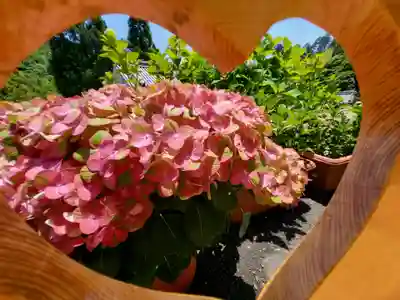 柳谷観音　楊谷寺(京都府)