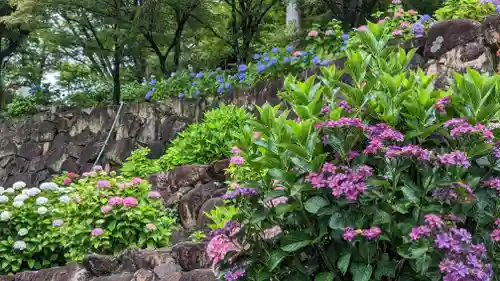 柳谷観音　楊谷寺(京都府)
