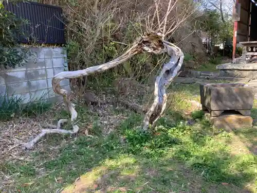 厳島神社(神奈川県)