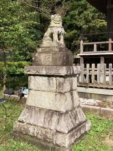 加治神社の狛犬