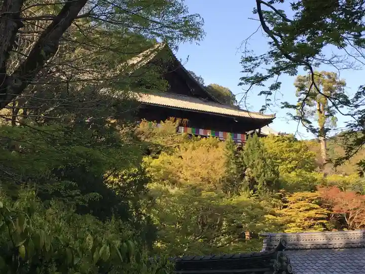 長谷寺の自然