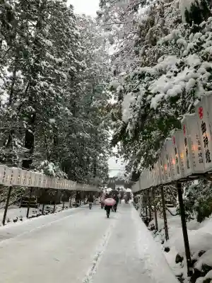 彌彦神社(新潟県)