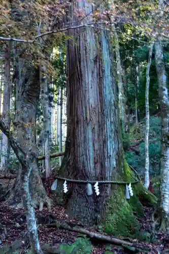 貴船神社奥宮(京都府)