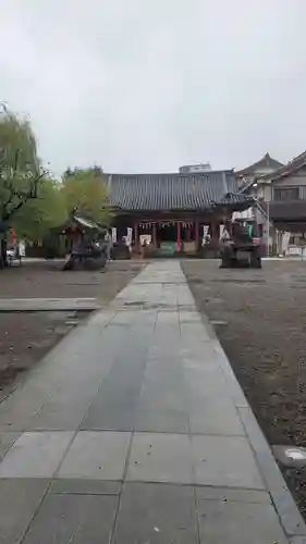 浅草神社の本殿・本堂