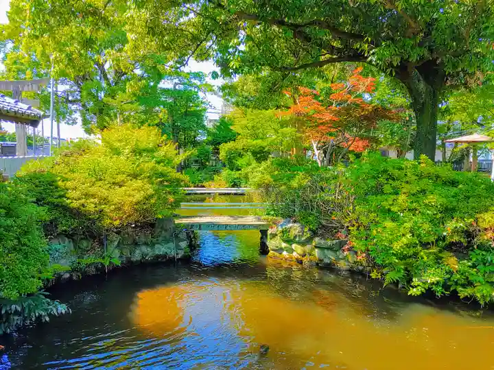 籠守勝手神社(木曽川町黒田)の庭園