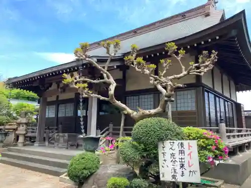 法源寺の本殿・本堂