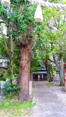 熊野神社のその他建物