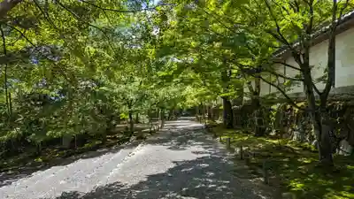 二尊院(京都府)